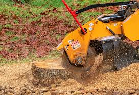 Best Emergency Tree Removal  in Brawley, CA